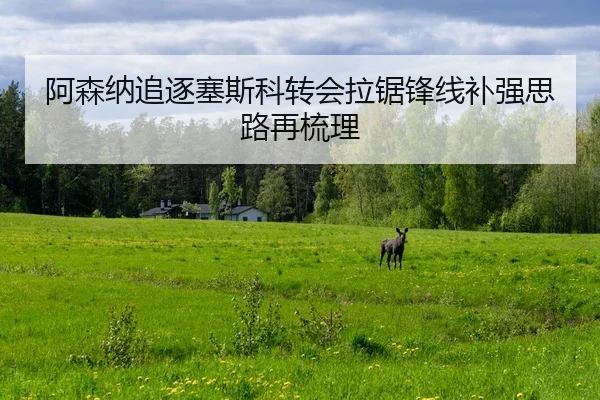 阿森纳追逐塞斯科转会拉锯锋线补强思路再梳理